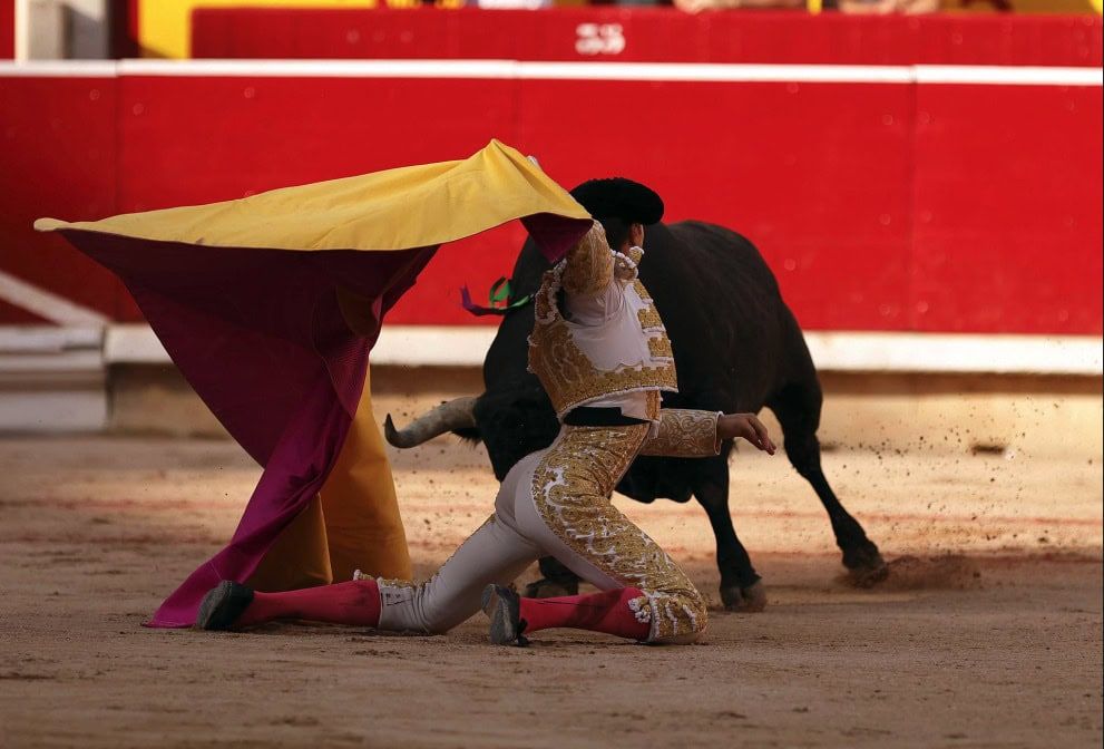 pamplona bullfight 2023
