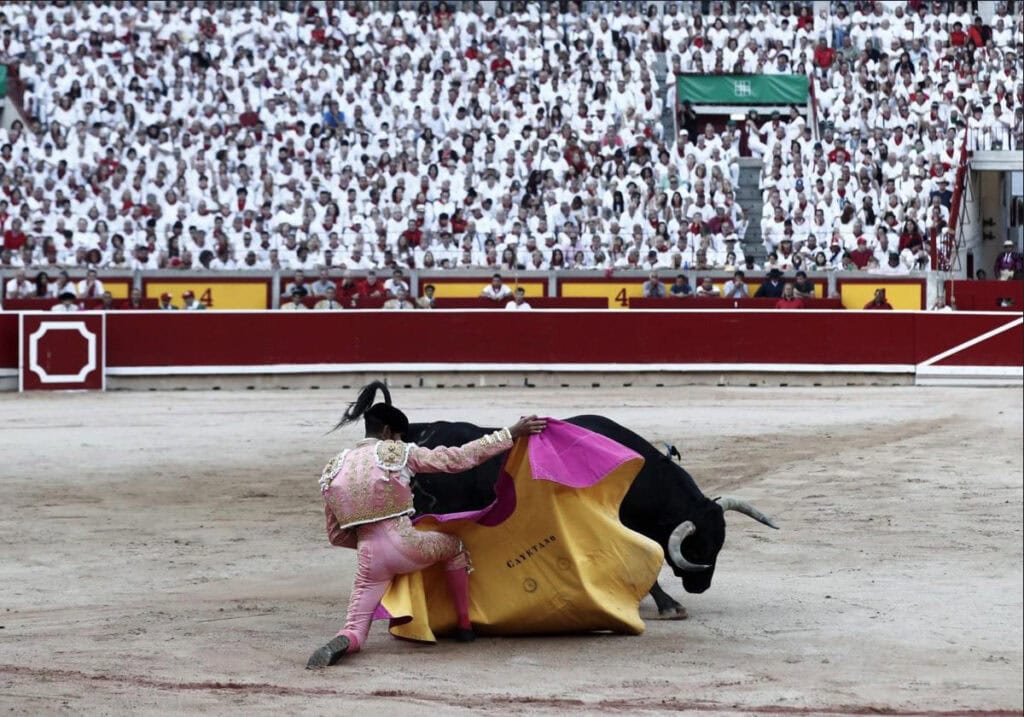 pamplona bullfight 2024